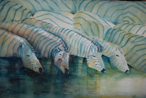 zebras-am-wasserloch-aquarell-38-56-2008